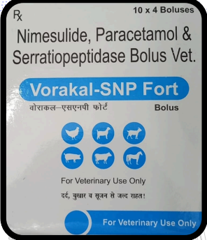 Vorakal SNP Fort Bolus